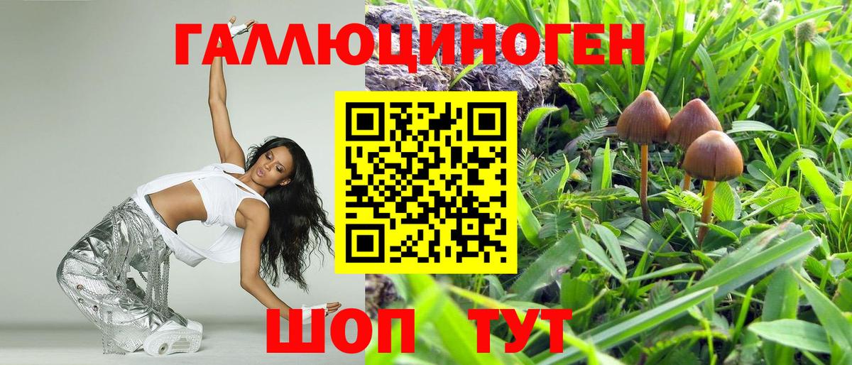 Отрадное  Псилоцибиновые грибы Cubensis  купить   Вход с VPN 
